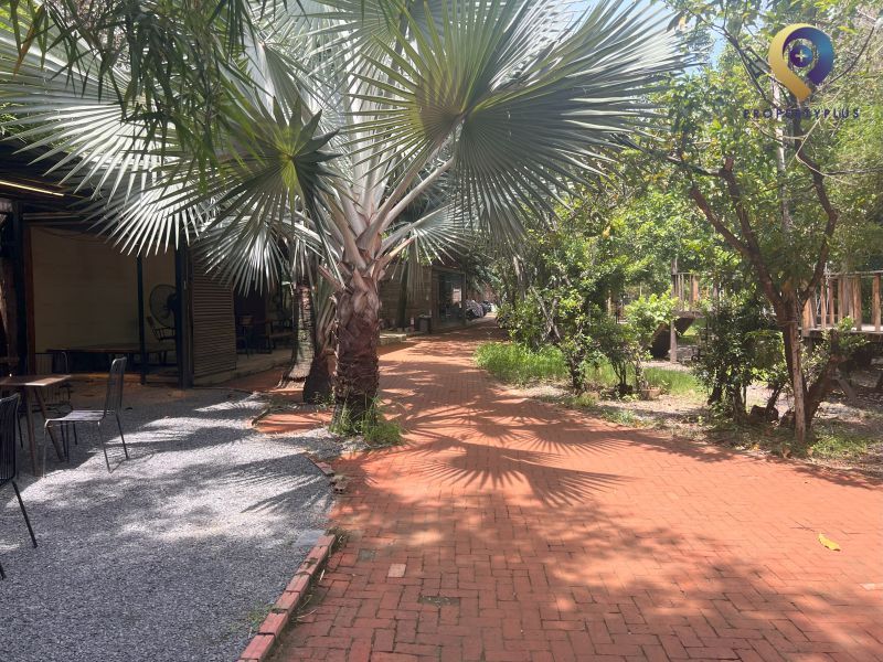 Family Garden